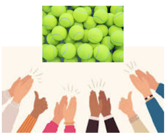 Net Love collects 173 balls from outdoor bin at New Providence Tennis Courts